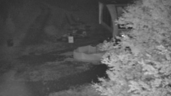 Snímek    25.10.2025 v 00:00