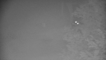 Snímek    26.10.2025 v 05:00