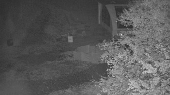 Snímek    27.10.2025 v 19:30