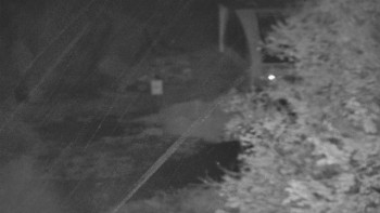 Snímek    28.10.2025 v 00:00