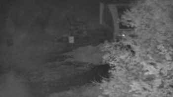 Snímek    28.10.2025 v 01:00