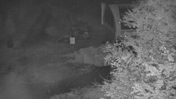 Snímek    28.10.2025 v 02:30