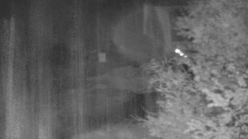 Snímek    28.10.2025 v 20:30