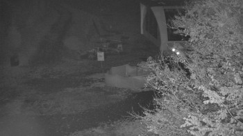 Snímek    28.10.2025 v 22:00