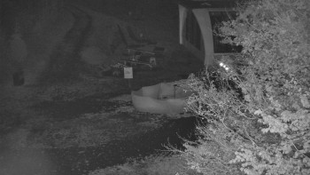 Snímek    28.10.2025 v 22:30