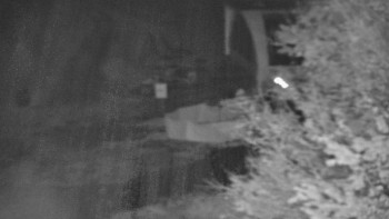 Snímek    29.10.2025 v 03:00