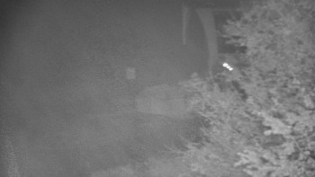 Snímek    29.10.2025 v 03:30