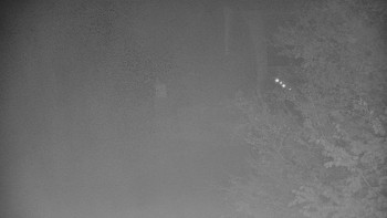 Snímek    29.10.2025 v 04:30