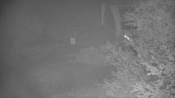 Snímek    29.10.2025 v 05:30