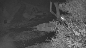 Skiareál Bílá - Bílá - panorama - 1.11.2025 v 03:30 Skiareál Bílá - Bílá - panorama - 1.11.2025 v 03:30