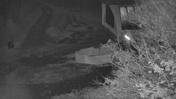 Snímek    1.11.2025 v 05:30