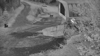 Snímek    1.11.2025 v 06:00