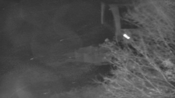 Snímek    3.11.2025 v 05:00