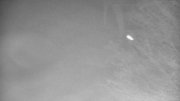 Snímek 3.11.2025 v 05:30