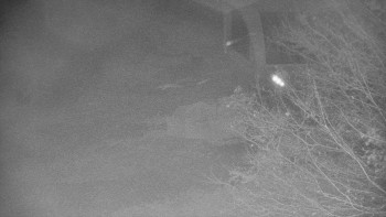 Snímek    3.11.2025 v 06:00