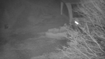 Snímek    4.11.2025 v 00:00