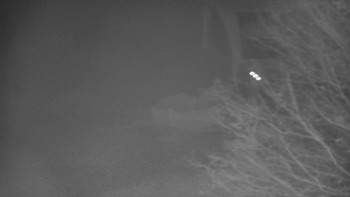 Snímek    4.11.2025 v 01:00