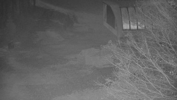 Snímek 5.11.2025 v 00:30