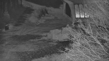 Snímek 5.11.2025 v 01:30