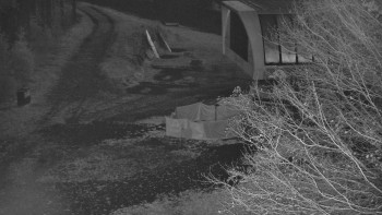 Snímek 5.11.2025 v 05:00