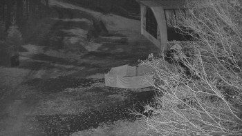 Snímek 6.11.2025 v 00:00