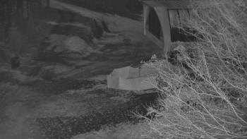 Snímek 6.11.2025 v 01:00