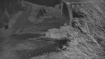 Snímek 6.11.2025 v 03:00