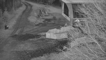 Snímek 6.11.2025 v 06:00