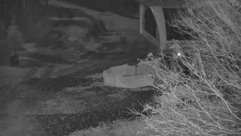 Snímek 7.11.2025 v 01:00