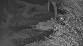 Snímek 7.11.2025 v 03:00