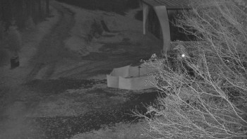 Snímek 7.11.2025 v 04:30