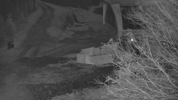 Snímek 7.11.2025 v 05:00