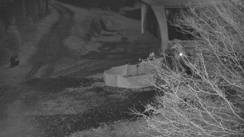 Snímek 7.11.2025 v 05:30