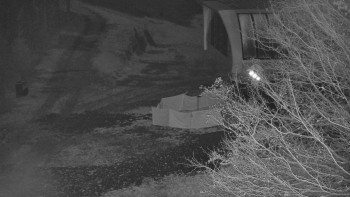 Snímek 8.11.2025 v 03:30