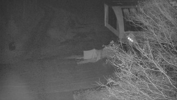 Snímek 17.11.2025 v 03:30