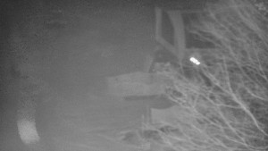 Skiareál Bílá - Bílá - panorama - 9.12.2025 v 05:00 Skiareál Bílá - Bílá - panorama - 9.12.2025 v 05:00