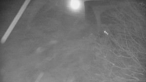 Skiareál Bílá - Bílá - panorama - 1.1.2026 v 02:00 Skiareál Bílá - Bílá - panorama - 1.1.2026 v 02:00