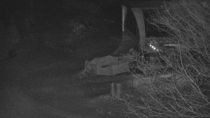 Skiareál Bílá - Bílá - panorama - 11.2.2026 v 03:00 Skiareál Bílá - Bílá - panorama - 11.2.2026 v 03:00