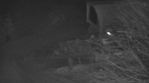 Skiareál Bílá - Bílá - panorama - 22.2.2026 v 00:00 Skiareál Bílá - Bílá - panorama - 22.2.2026 v 00:00