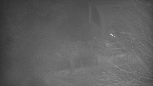 Skiareál Bílá - Bílá - panorama - 22.2.2026 v 01:00 Skiareál Bílá - Bílá - panorama - 22.2.2026 v 01:00