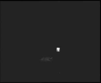 Snímek    29.10.2025 v 23:30