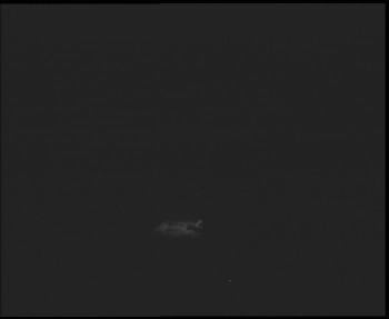 Snímek    30.10.2025 v 02:30