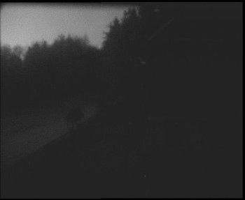 Snímek    30.10.2025 v 06:00