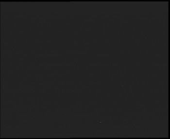 Snímek    2.11.2025 v 22:00