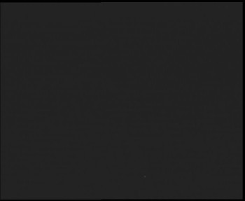 Snímek 3.11.2025 v 02:45