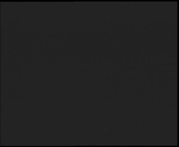 Snímek    3.11.2025 v 20:15