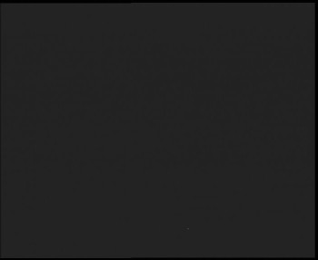 Snímek    3.11.2025 v 21:00