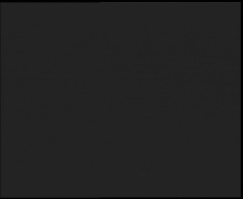 Snímek 5.11.2025 v 00:45