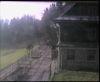 Snímek 5.11.2025 v 08:45