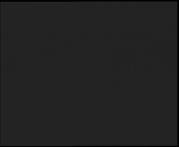 Snímek 6.11.2025 v 02:30